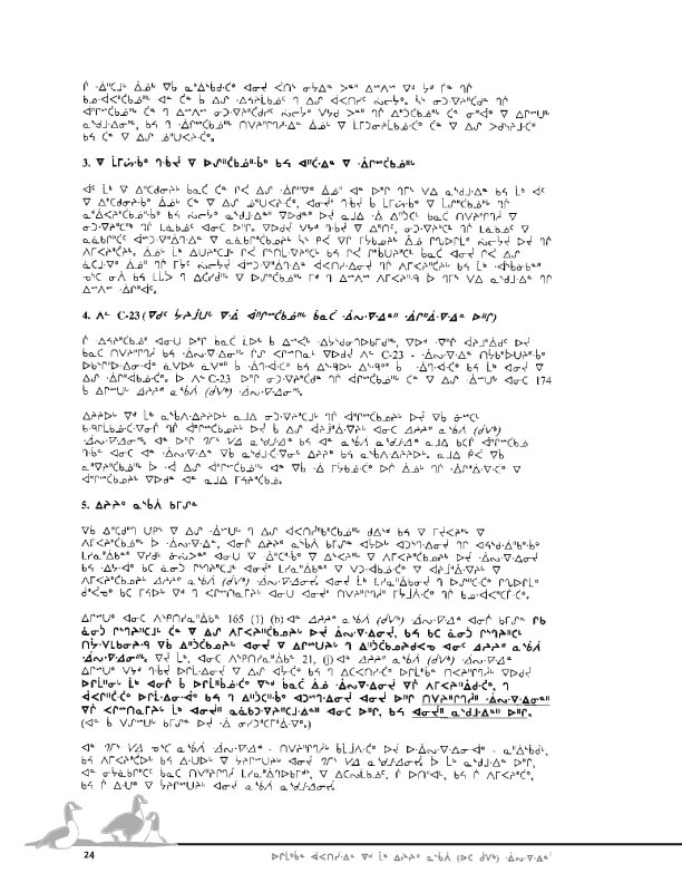 11923 CNC Report 2004_CREE - page 24